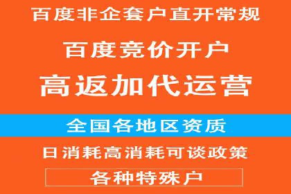 百度优化推广的技巧与策略：企业必看的指南