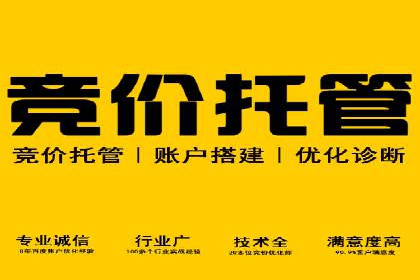 竞价推广公司经典案例：打造行业领先的广告投放效果
